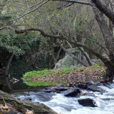 Grenzübergreifendes Biosphärenreservat am Tajo. Der Sever-Fluss