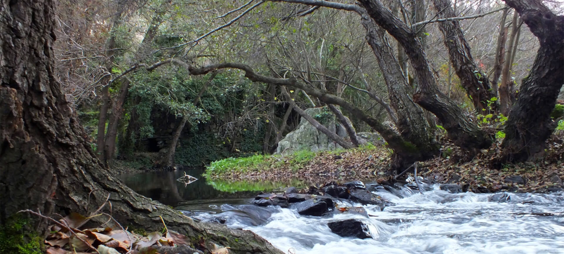 Grenzübergreifendes Biosphärenreservat am Tajo. Der Sever-Fluss Grenzübergreifendes Biosphärenreservat am Tajo. Der Sever-Fluss