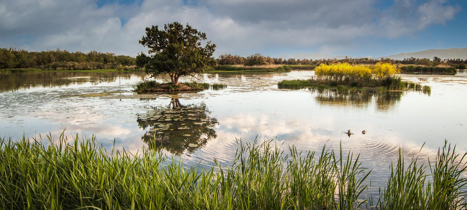 Aiguamolls de l'Empordà Aiguamolls de l'Empordà