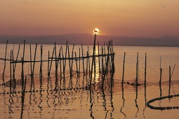 L'Albufera (Walencja)
