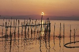 L'Albufera (Valência)