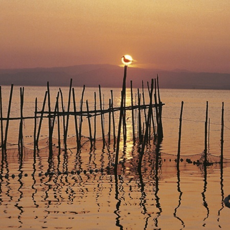 L'Albufera (Valencia)