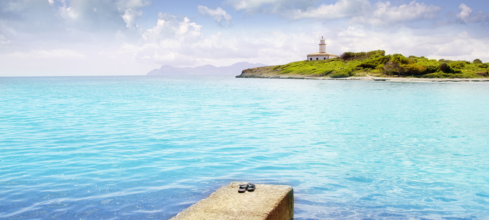 Alcanada en el Parque Natural de Sálbufera en Mallorca