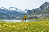 Turyści kontemplujący jezioro Ercina w Parku Narodowym Picos de Europa, Asturia