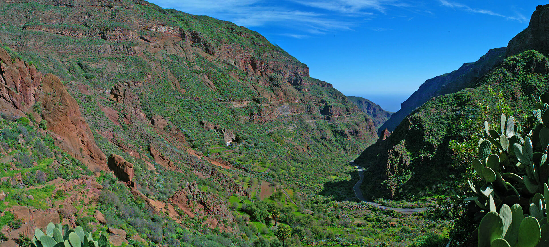 Gola della Guayadeque Gola della Guayadeque