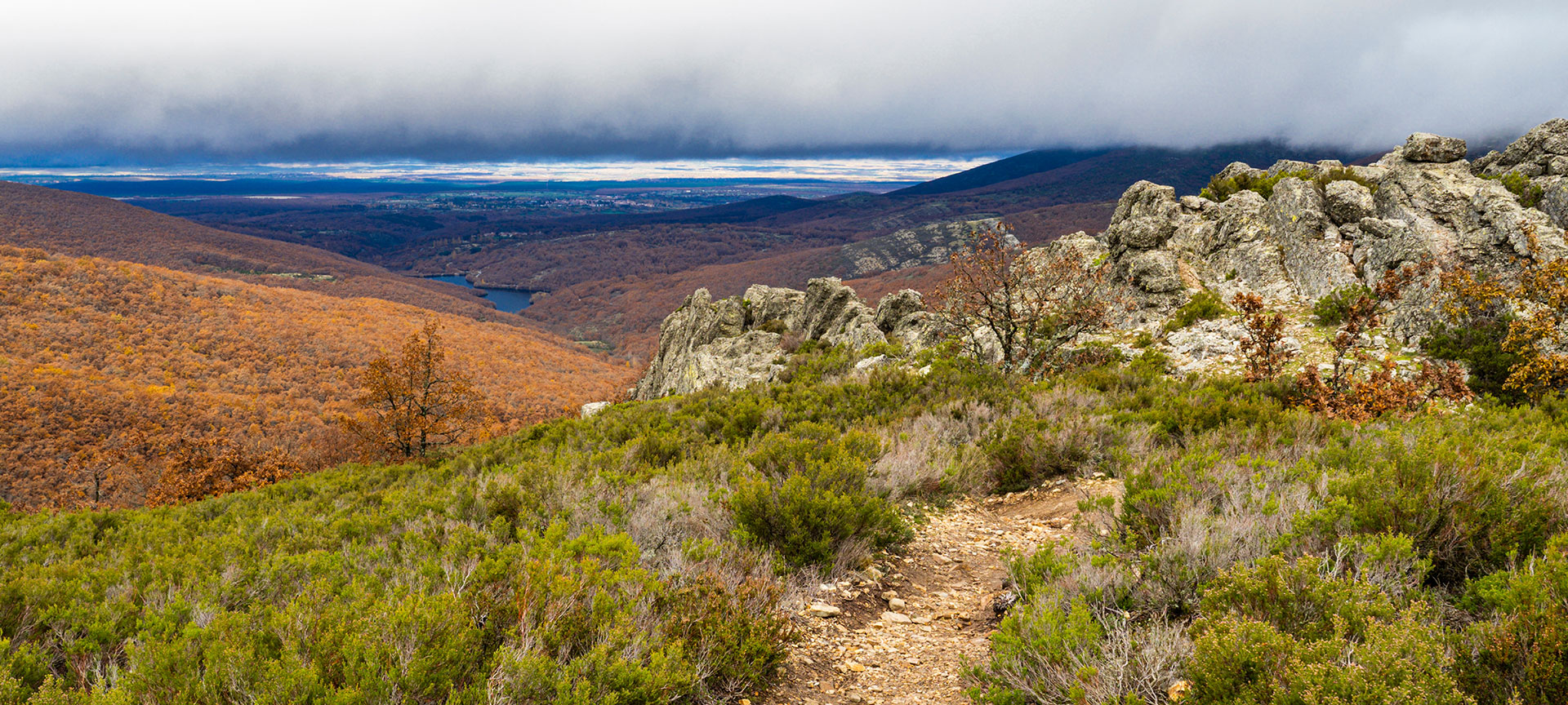 Las bukowy La Pedrosa, obszar chronionego krajobrazu Hoces del Río Riaza, Segowia, Kastylia i León