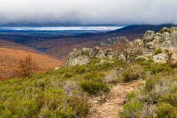 Las bukowy La Pedrosa, obszar chronionego krajobrazu Hoces del Río Riaza, Segowia, Kastylia i León