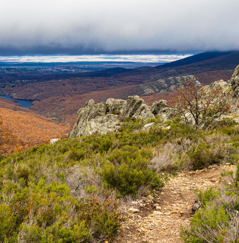 Hoces del R o Riaza Natural Park - Bosque De Robles Otono Hayedo De La Pedrosa Riofrio De Riaza Segovia Castilla Y Leon 78431701 