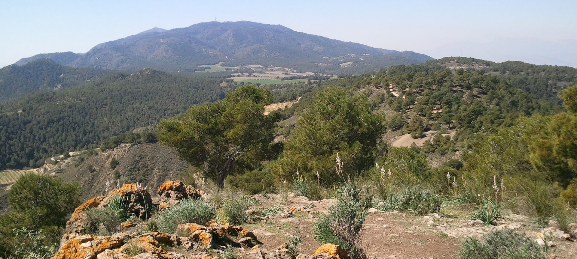 Sierra Carrascoy desde el pico del Águila