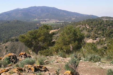 Sierra Carrascoy from Pico del Águila