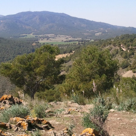 Sierra Carrascoy ze szczytu Águila