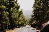 Canarias, parque Natural Tigaiga