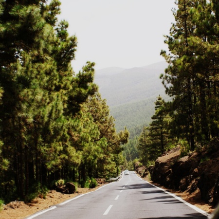 Tigaiga Natural Park, Canary Islands