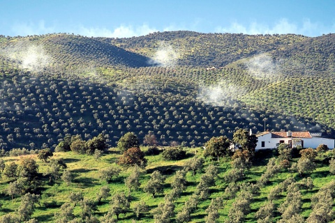 Espiel dans la sierra Morena