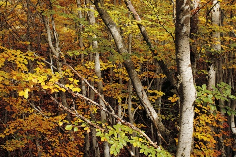 Sierra de Tejeda