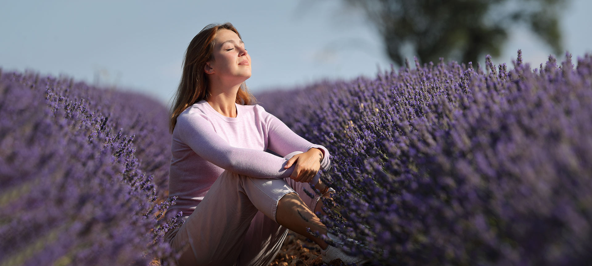 Turista em um campo de lavanda Turista em um campo de lavanda