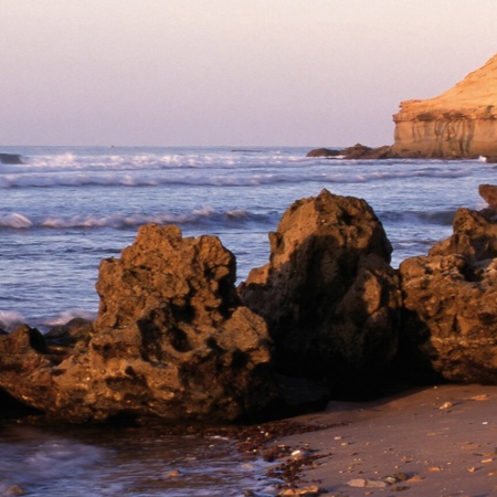 Marismas de Barbate