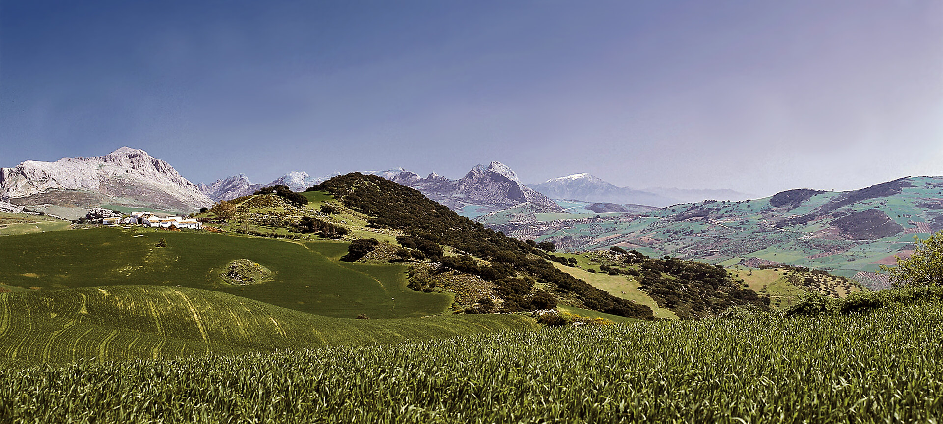Parque Natural de los Montes de Málaga