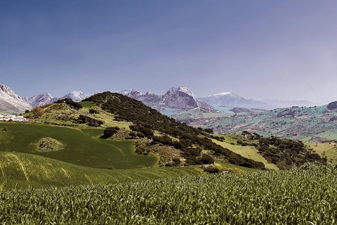 Naturpark Montes de Málaga