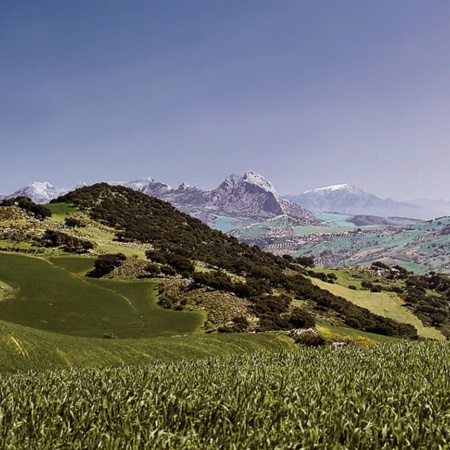 Montes de Malaga Natural Park