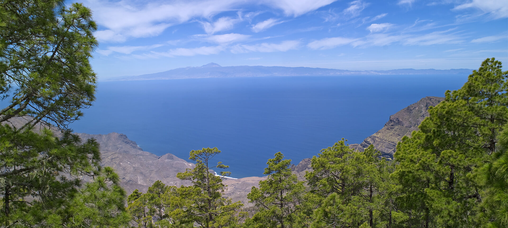 Parque Natural de Tamadaba
