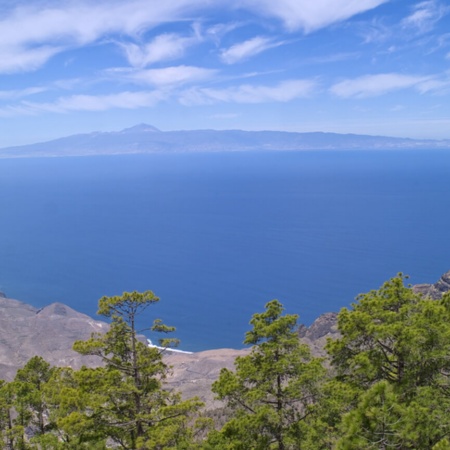 Parc naturel Tamadaba