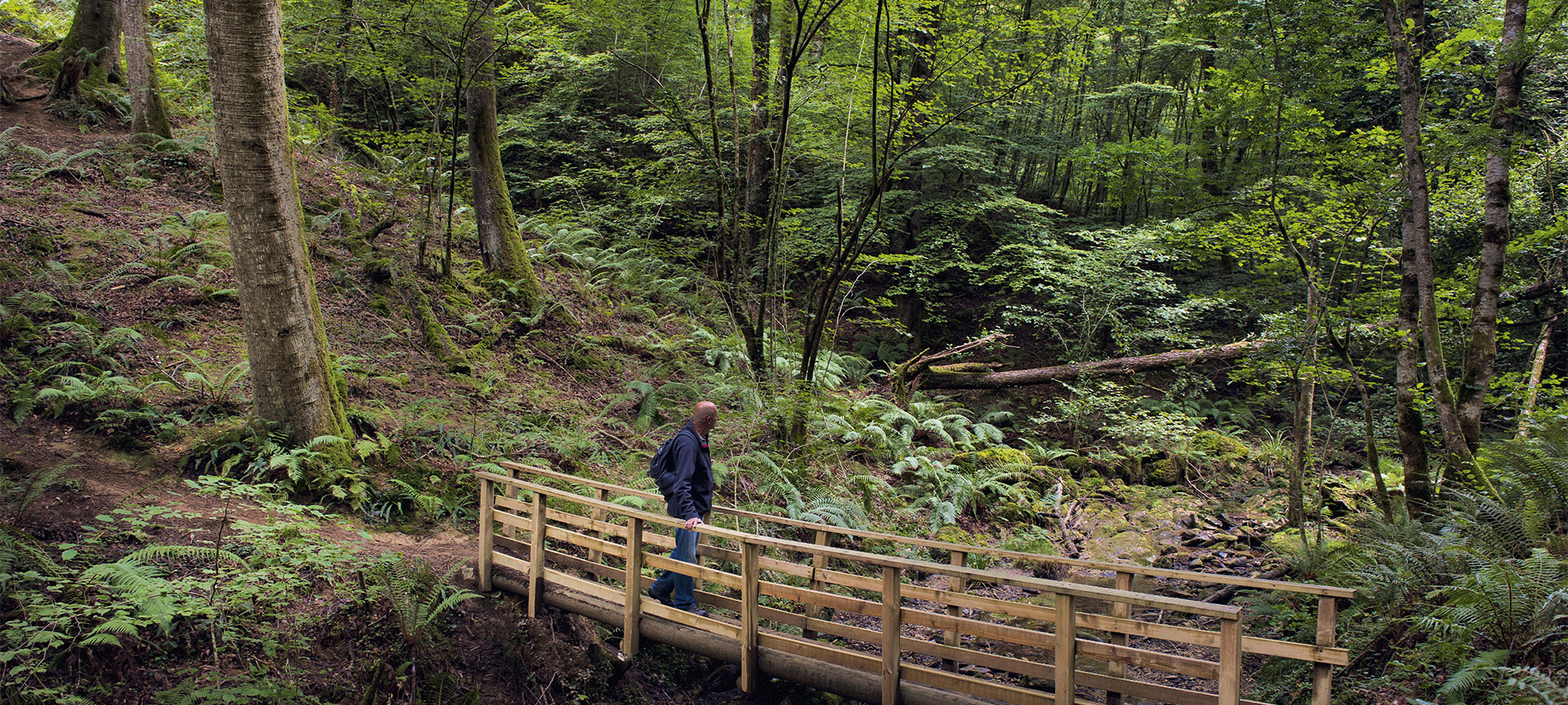 Parque Natural Señorío de Bertiz