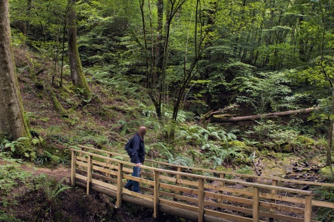 Parc naturel Señorío de Bértiz.