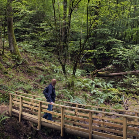 Parc naturel Señorío de Bértiz