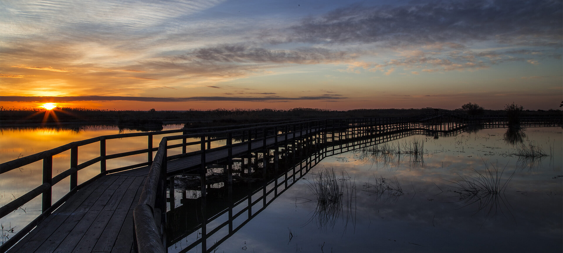 Parque Natural de El Hondo