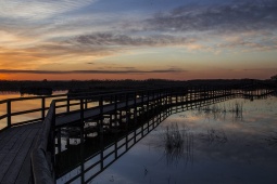El Hondo Natural Park