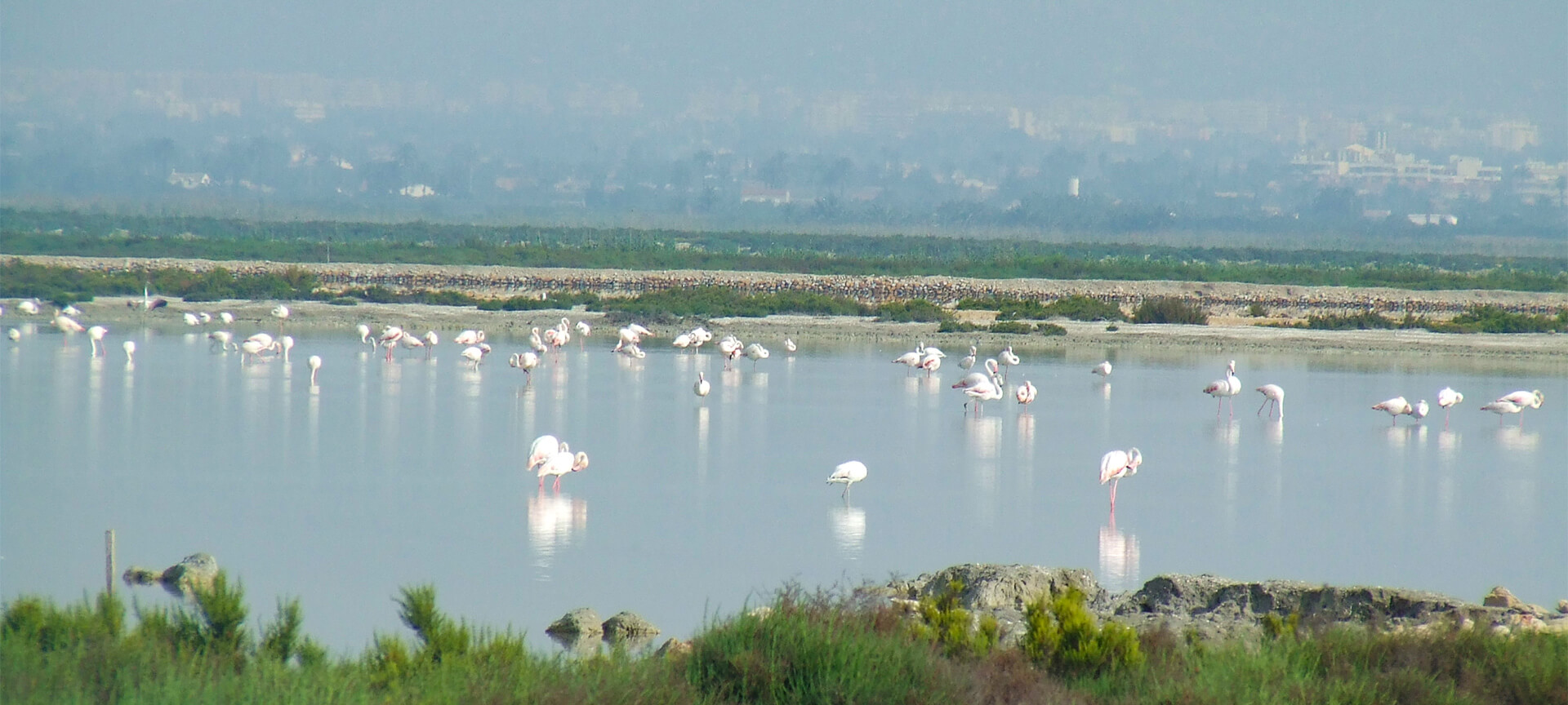 Parque Natural das Salinas de Santa Pola Parque Natural das Salinas de Santa Pola