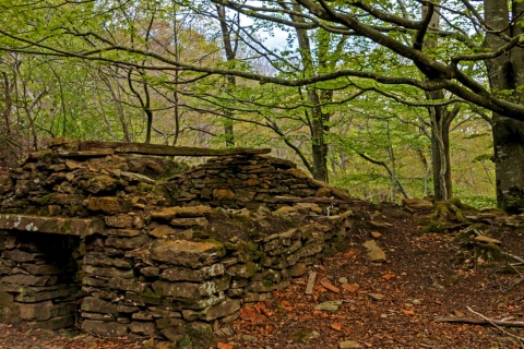 Parc naturel Armañon