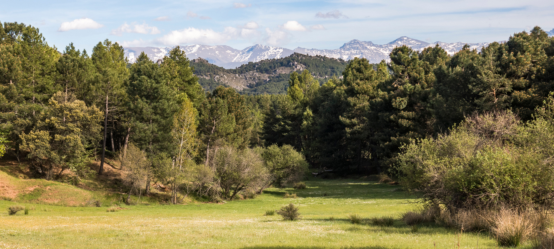 Parque Natural de Sierra de Huetor