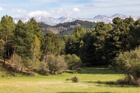 Parc naturel de Sierra de Huétor