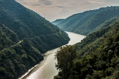 Parc naturel de Sierra de Hornachuelos