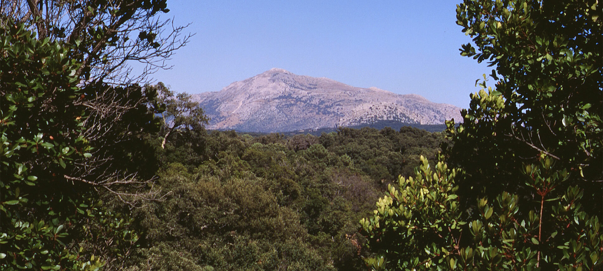 Parque Natural de los Alcornocales, Cádiz