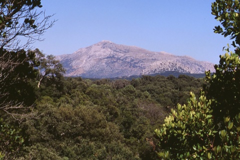 Los Alcornocales Natural Park, Cadiz