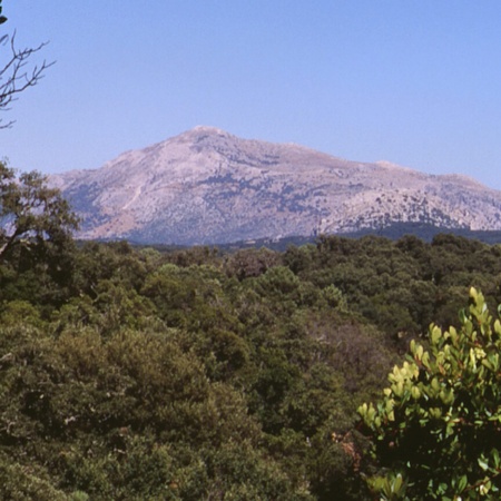 Parque Natural dos Alcornocales, Cádis