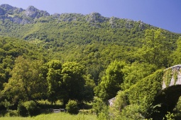 Redes Nature Reserve