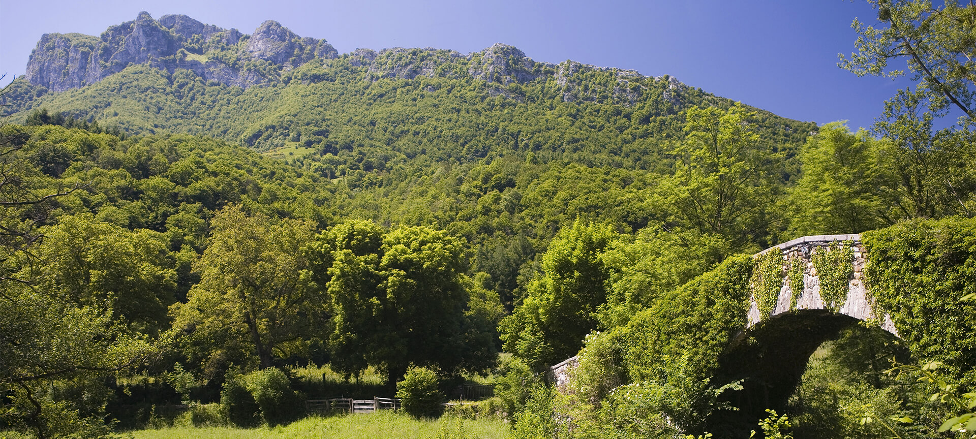 Parco Naturale di Redes Parco Naturale di Redes
