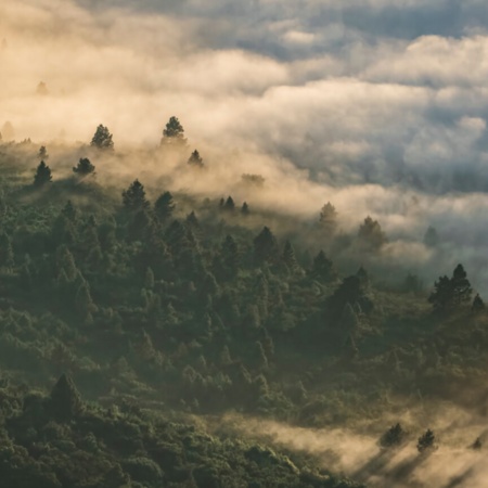 Teide National Park, Corona Forestal Natural Park