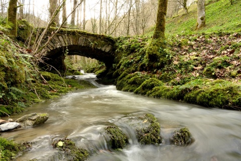 Ponte de pedra no Parque Natural de Pagoeta