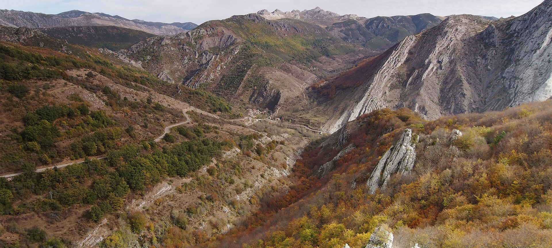Hêtraie de Vegacervera dans la réserve de biosphère Arguellos