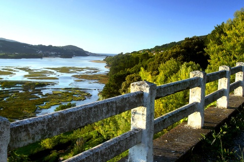 Riserva della Biosfera Urdaibai