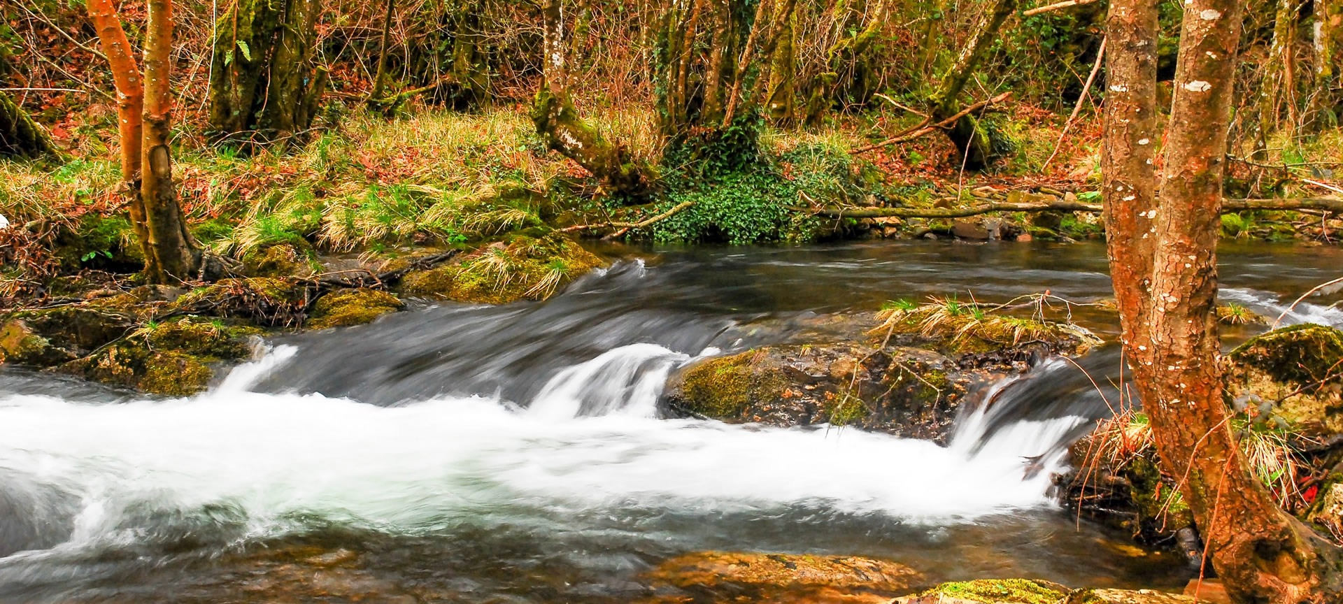 Reserva da Biosfera Rio Eo, Osco e Terras de Burón (Astúrias)