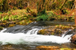 Биосферный заповедник реки Эо, Оско и Террас-де-Бурон (Астурийское княжество)