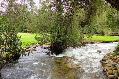 Der Masma-Fluss in Lugo