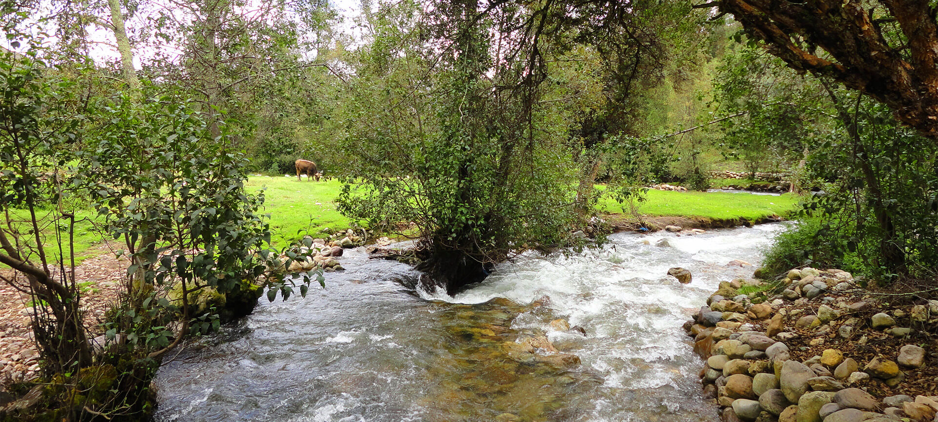 Río de Masma en Lugo Río de Masma en Lugo