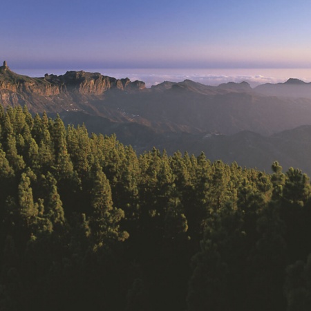 Roque Tejeda in the Canary Islands